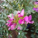 Huawei Y550 photo 3