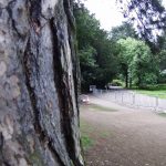 Asus Reco test photo 3