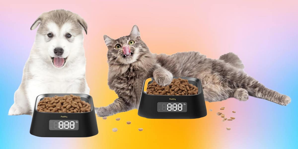 Pawbby Smart Bowl Header 1200x600 px