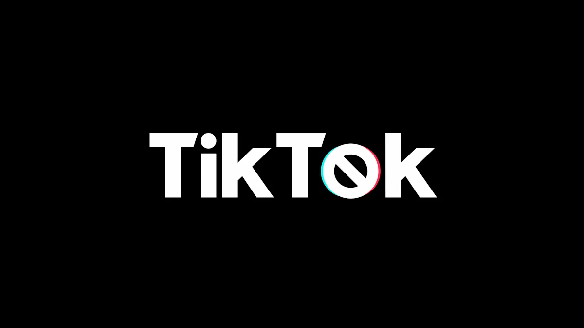 Broader Implications of the TikTok Ban