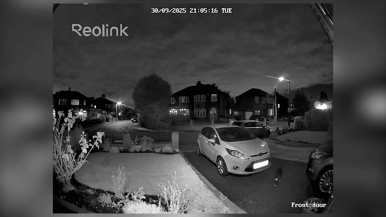 Night vision footage clearly showing a small animal on the porch