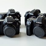 top rated dslr options