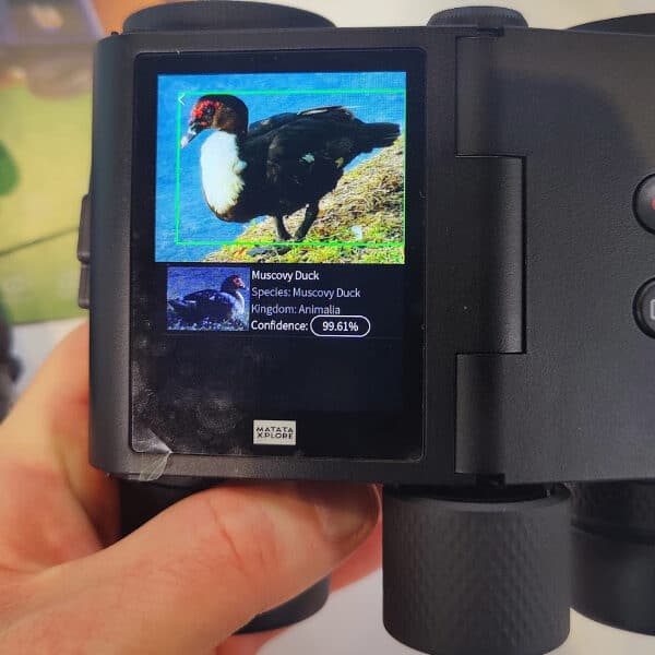 A hand holds binoculars displaying a screen that identifies a Muscovy duck with 85.8% confidence using AI image recognition.